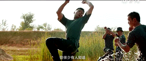 0 (2).gif